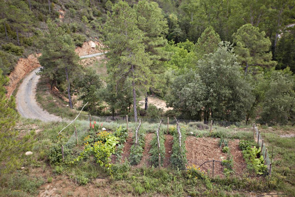 Masia Ca L'Anima Hotel La Baronia de Rialb Kamer foto
