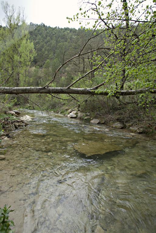 Masia Ca L'Anima Hotel La Baronia de Rialb Kamer foto