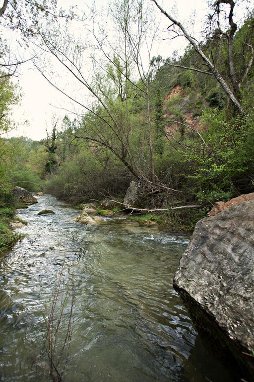 Masia Ca L'Anima Hotel La Baronia de Rialb Kamer foto