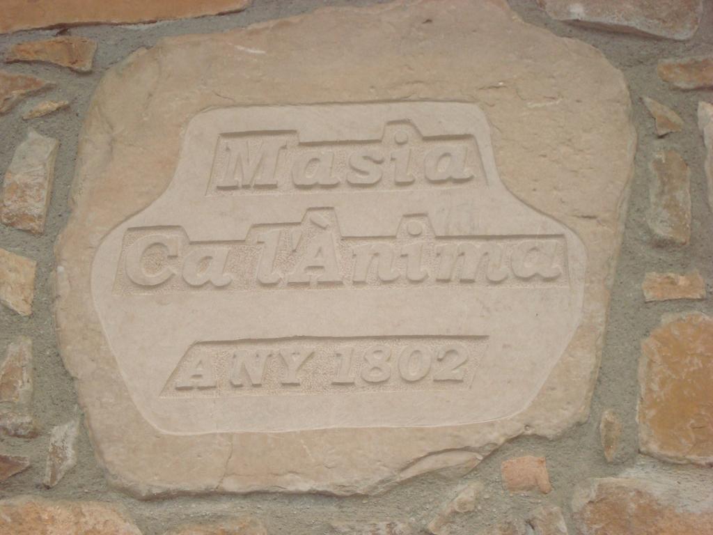 Masia Ca L'Anima Hotel La Baronia de Rialb Kamer foto